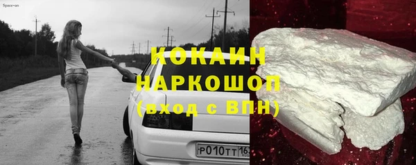 шишки Козельск