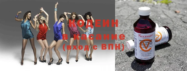 шишки Козельск