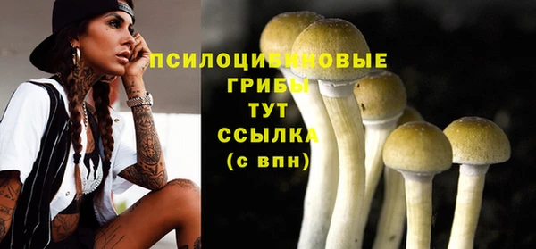 спиды Козловка