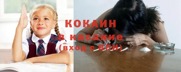шишки Козельск
