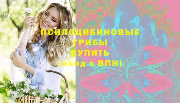 шишки Козельск