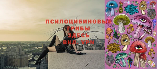 винт Кодинск