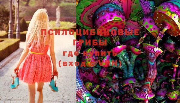 шишки Козельск
