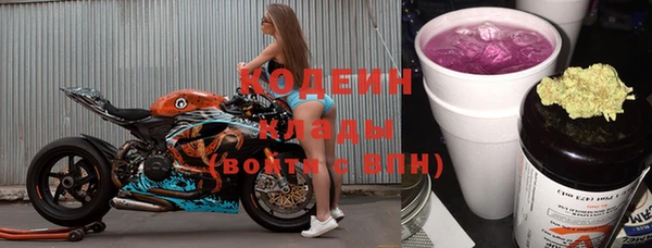 шишки Козельск